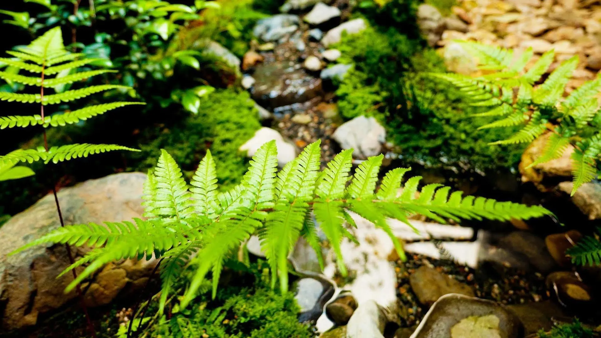 Chikuma Tsuyukusa-An Kyoto Japan